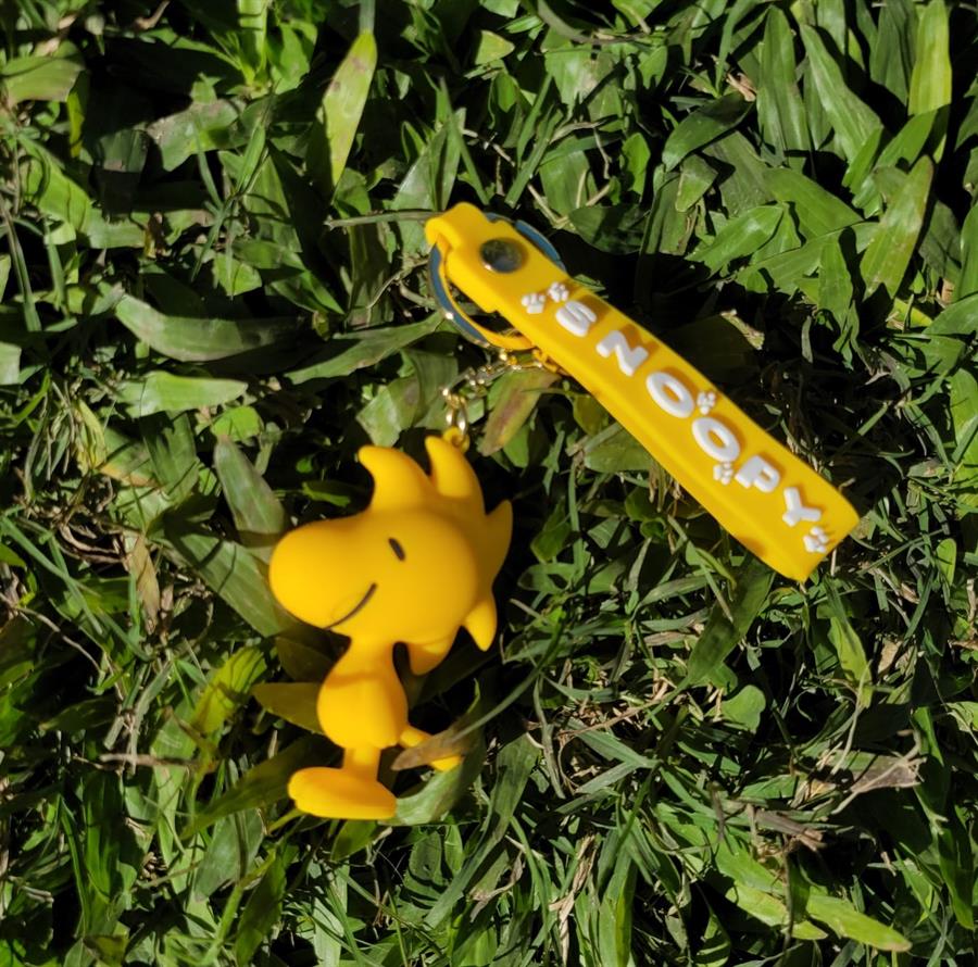 Llavero de Woodstock